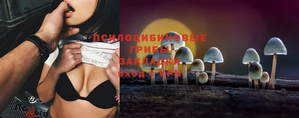 марки lsd Дмитриев