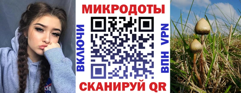 Псилоцибиновые грибы Cubensis  Купить где  Каменск-Шахтинский 